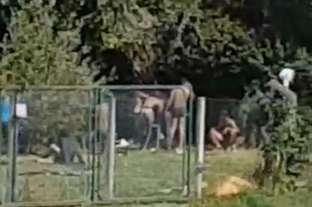 SKANDAL U LOZNICI, GRAĐANI ZGROŽENI: Migranti napravili kamp na groblju, skidaju se goli i vrše nuždu pored spomenika