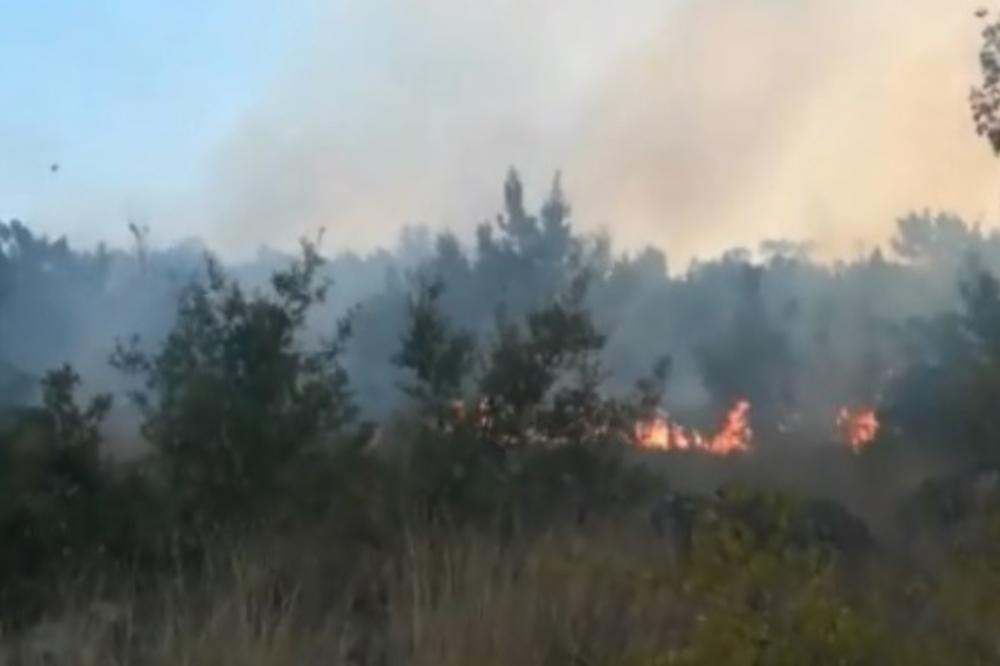 VELIKI POŽAR GUTA SITONIJU: Grčko poluostrvo u plamenu, od dima se ne vidi prst pred okom! (FOTO, VIDEO)