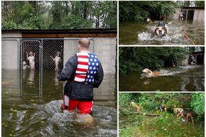 SPAS U POSLEDNJI ČAS! Vlasnici ostavili 6 pasa zaključanih u kavezu da se utope, A OVAJ HEROJ IH JE SPASAO SIGURNE SMRTI u uraganu Florens! (VIDEO, FOTO)