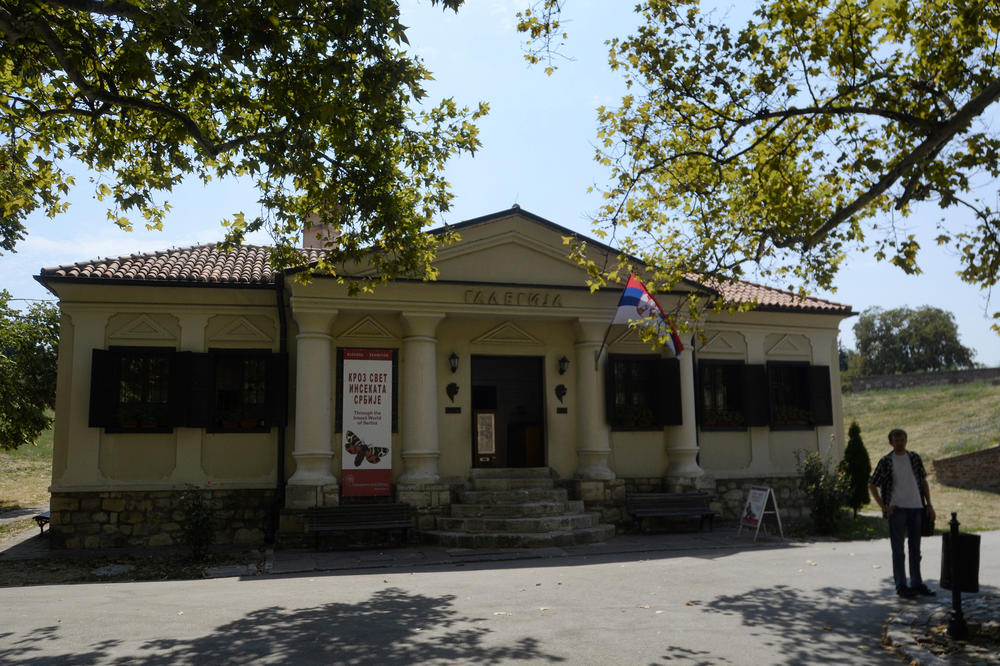 KRAJ ISTORIJE DUGE 125 GODINA: Prirodnjački muzej u Beogradu gubi status samosalne ustanove kulture