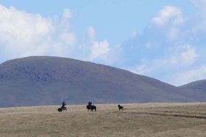 SEPTEMBARSKI MRAZ OKOVAO SJENICU: Pešter osvanuo na -6, a onda je otoplilo na -3! Kažu, mrazevi su okasnili, ispod nule nam je već početkom septembra