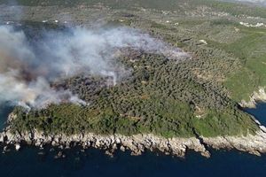 U ULCINJU POŽAR STIGAO DO MORA: Gorele stoletne masline! Situacija alarmantna!