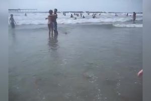 NESVAKIDAŠNJI PRIZOR: Ogromna iguana na obali mora, ono što deca rade s njom će vas zaprepastiti (VIDEO)