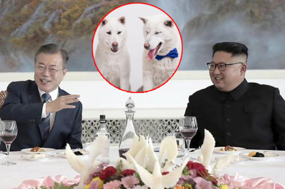 KIM POKLONIO MUNU PAR BELIH PASA: Komšijska ljubav cveta! Lider Severne Koreje pažljivo odabrao poklon kao novi znak otopljenja odnosa!