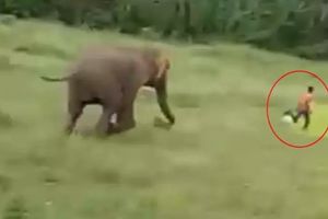 ZASTRAŠUJUĆI SNIMAK: Slon u sekundi pregazio prestravljenog dečaka! Mališan umro na mestu (UZNEMIRUJUĆI VIDEO)