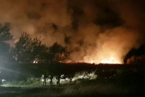 EKOLOŠKA KATASTROFA: Požar guta zaštićeni rezervat prirode, građani apeluju KAZNITE PIROMANE (KURIR TV)