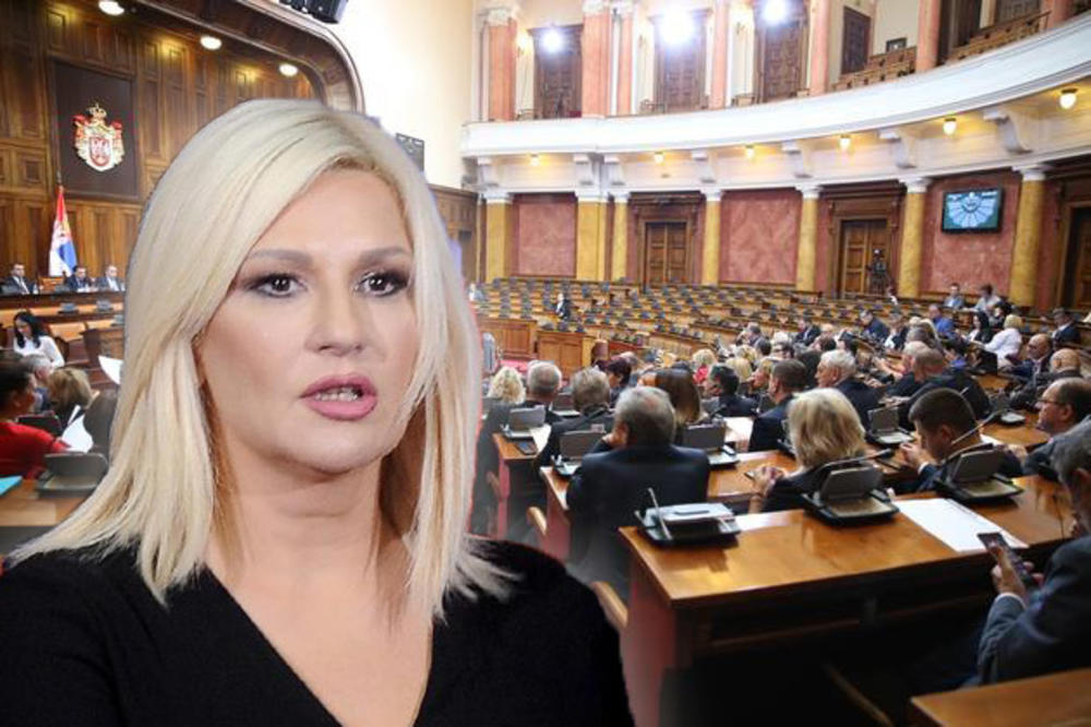 SKUPŠTINA SRBIJE: Ministarka Mihajlović danas obrazlaže 10 zakona