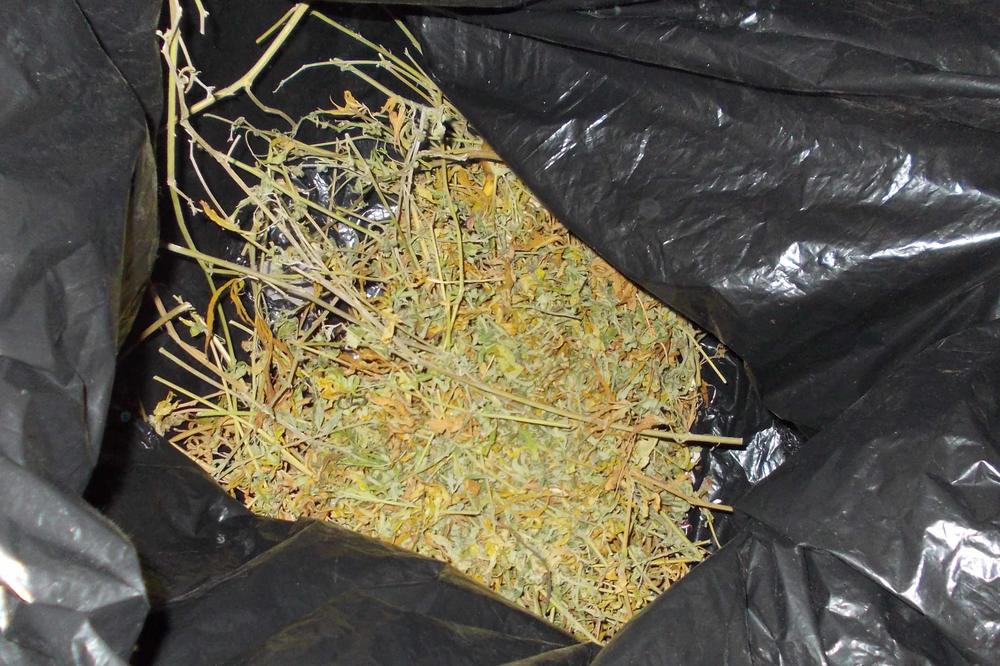 SOMBOR: Trojac uhvaćen sa kilogramom marihuane