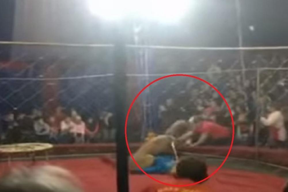 LAVICA ISKORISTILA TRENUTAK NEPAŽNJE DETETA: Napala devojčicu u cirkusu, nanela joj teške povrede glave (VIDEO)