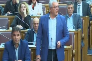 MANDIĆ O SKANDALOZNOJ ODLUCI: Sorošoidi iz vlasti i opozicije zabranili ulazak srpskim intelektualcima u Crnu Goru! Javno im se izvinjavam! (VIDEO)