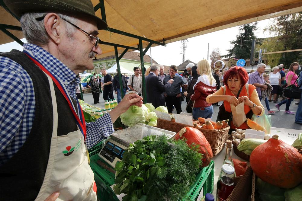 POČELA KUPUSIJADA: Futoški kiseli kupus zaštitićemo zakonom! (FOTO)