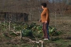 NE PRESTAJU NAPADI NA SRPSKE POVRATNIKE U BiH: Seku im stabla, sipaju naftu u rakiju, pa i pucaju u vrata (VIDEO)