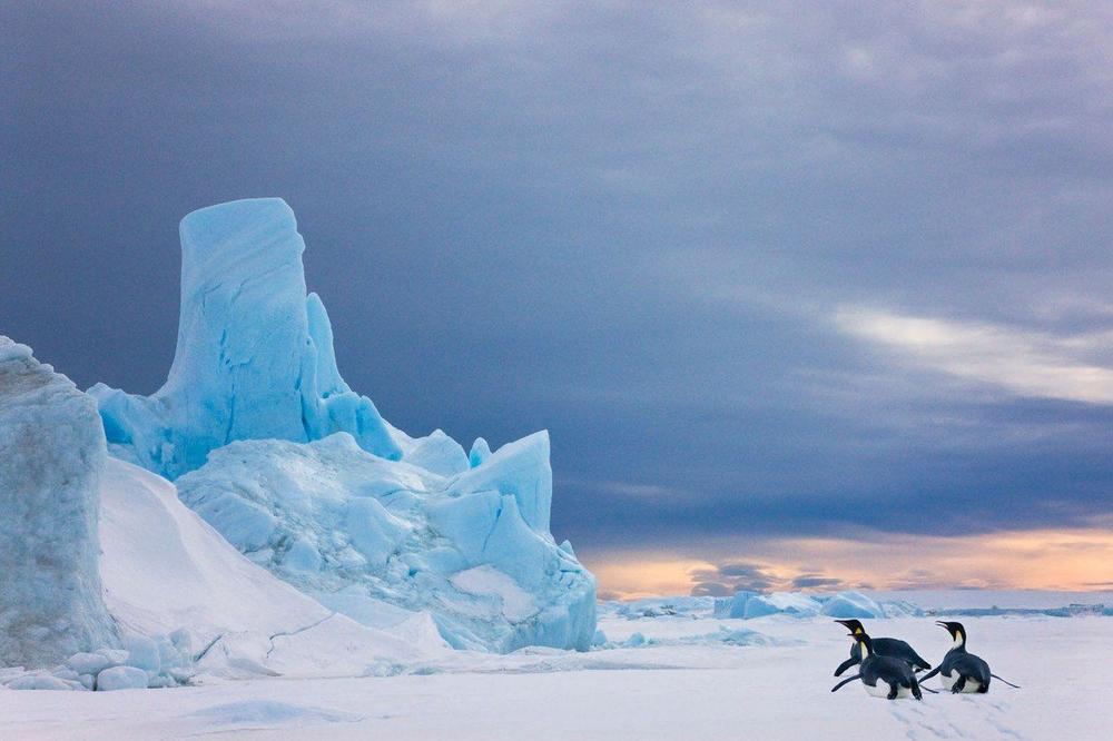 NEVEROVATNO! OTKRIVENI OSTACI IZGUBLJENOG KONTINENTA: Satelitskim snimcima naučnici rešili misteriju koja se 200 MILIONA godina krila ispod Antarktika! (VIDEO)