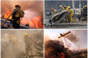 PAKAO U RAJU NA ZEMLJI: 48 mrtvih u požarima u Kaliforniji SVE SPALJENO DO TEMELJA! (FOTO, VIDEO)