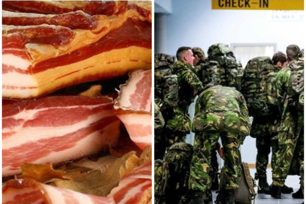 ŠIRE BOLEŠTINE! NOVI SKANDAL NA NAJVEĆOJ NATO VEŽBI: Norveškoj preti pandemija neviđenih razmera! Kriju ko je prošvercovao slaninu!