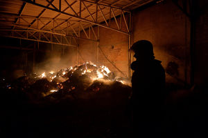 LOKALIZOVAN POŽAR KOD PANČEVA: Vatra izbila u privatnom skladištu žitarica, nema povređenih i nastradalih