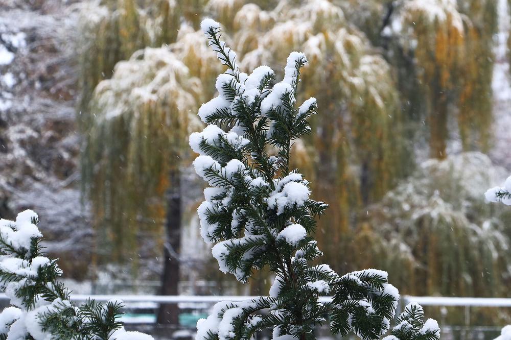 NAPADAĆE SNEG DO 20 CM: Stiže snežni vikend u Srbiju, a evo gde će se prvo zabeleti