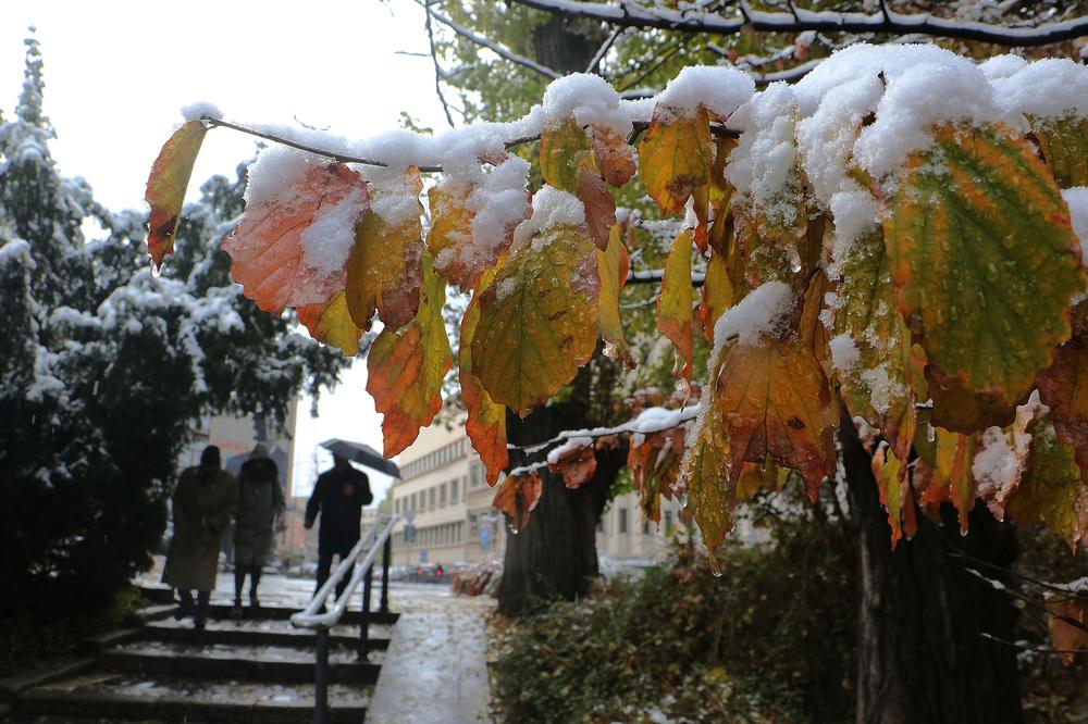 PAO SNEG U NOVOM SADU: Pogledajte čarobne slike zime (FOTO)