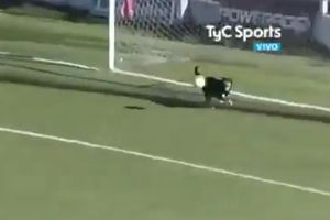 OVAKVU SMEJURIJU NIKADA NISTE VIDELI U FUDBALU: Zalutali pas sprečio siguran gol! Pogledajte neverovatnu scenu iz Argentine (VIDEO)