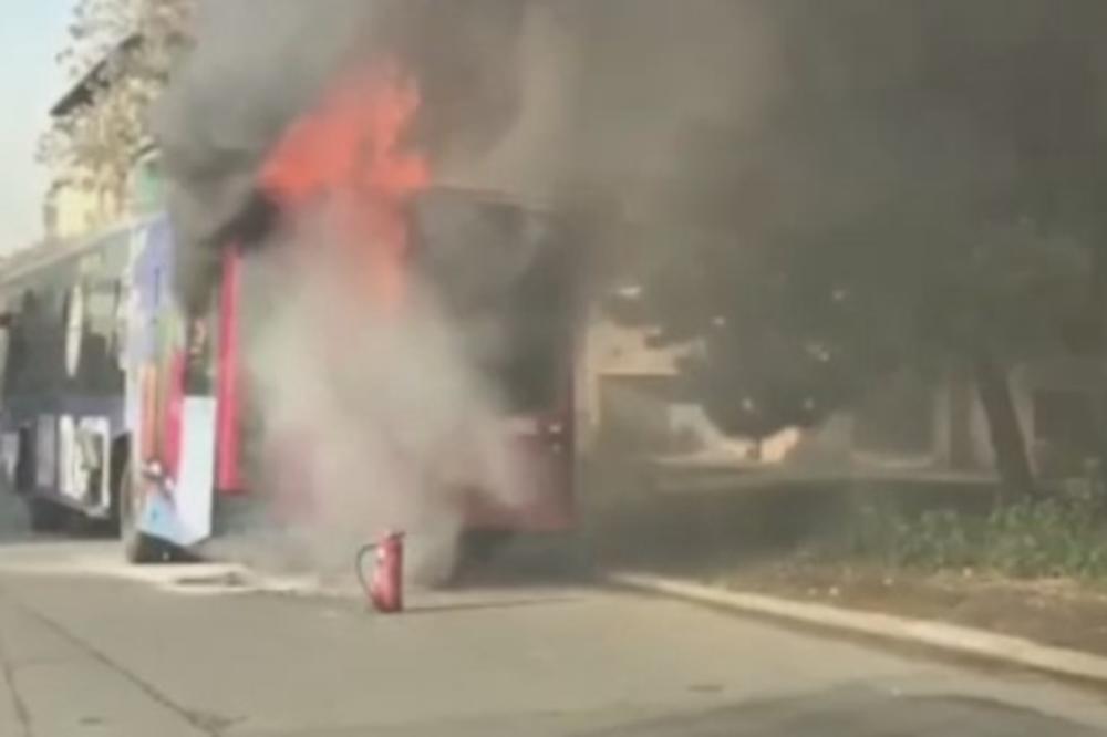 DRAMA U BEOGRADU: Zapalio se autobus u Južnom bulevaru! Vatrogasci hitno reagovali (VIDEO)