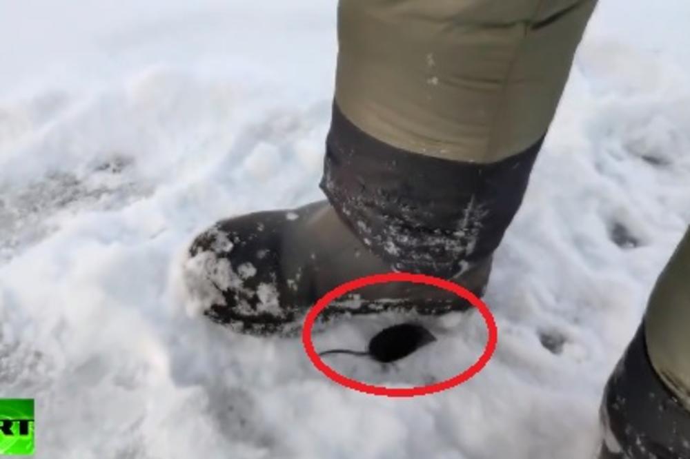 KAD JE HLADNO, NEMA STRAHA: Sućušna životinja izašla iz ledene vode i traži hranu od ruskog pecaroša! (VIDEO)