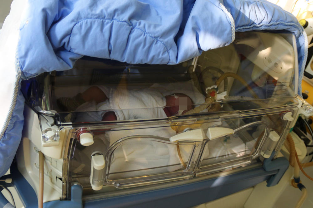 Bebice su trenutno u inkubatoru