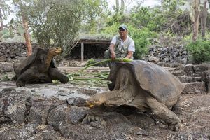 ONI ŠTITE SVE SVOJE STANOVNIKE: Galapagos zabranio vatromet jer stradaju deca i osetljive jedinstvene životinje! (FOTO)