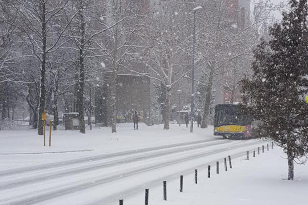 PRONAĐEN KRIVAC ZA JUTROŠNJI HAOS U PREVOZU: Zimska služba Beograd puta tvrdi da je od meteorologa dobila pogrešnu prognozu