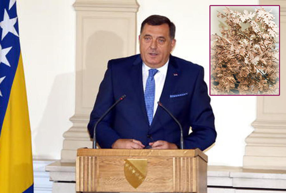 Milorad Dodik