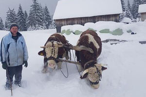 ZAVEJANI! VANREDNO U 7 OPŠTINA U SRBIJI: Sneg konačno prestao da pada, ali sad je stegao JAK MRAZ! Saobraćaj u brdskim krajevima otežan