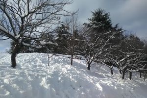 ZAVEJANA SELA U KURŠUMLIJI: Putevi neprohodni, sneg pola metra