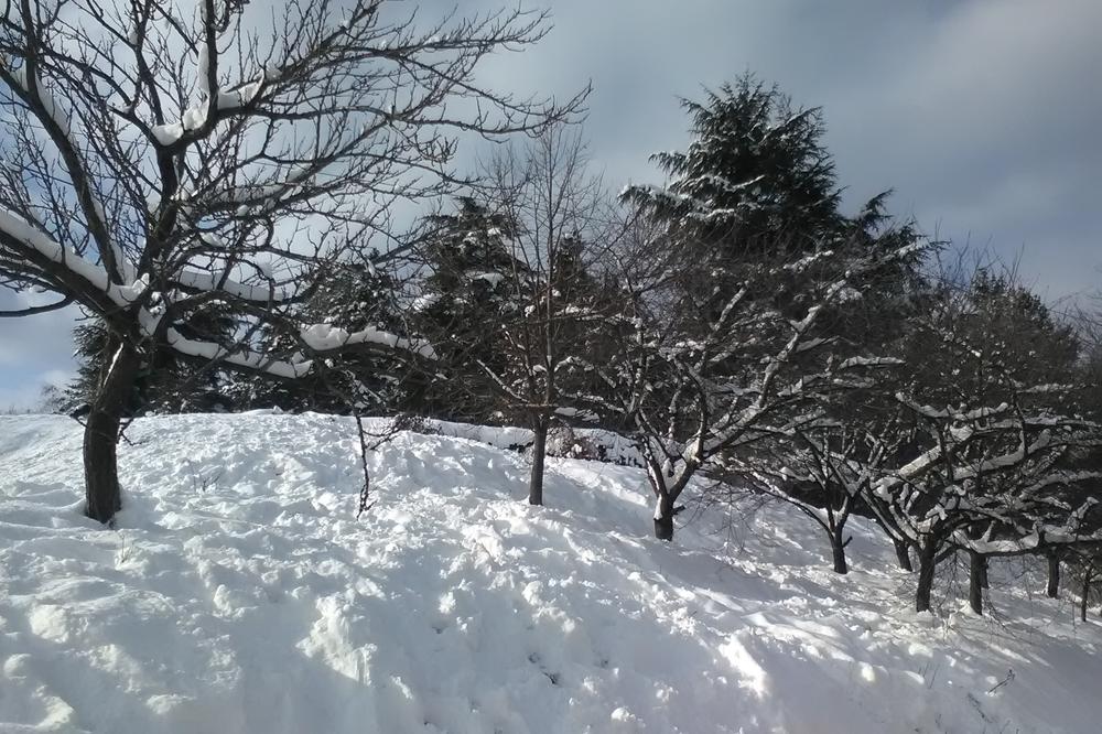 ZAVEJANA SELA U KURŠUMLIJI: Putevi neprohodni, sneg pola metra