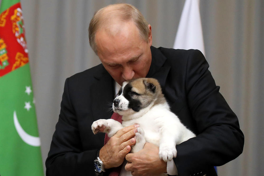 NEOBIČAN POKLON ZA PUTINA OD VUČIĆA: Štene šarplaninca za predsednika Rusije