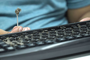 OPASNO PO VAŠE ZDRAVLJE: Ovako izgleda vaša tastatura i VI TO UDIŠETE!