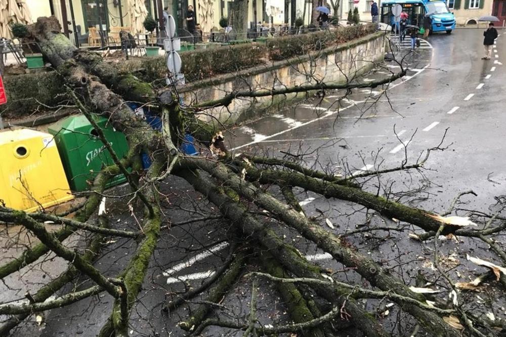 SRUŠILO SE OGROMNO STABLO U CENTRU ZAGREBA: Semafor visi, samo što ne padne na automobile, a vatrogasci uklanjaju deblo! Obustavljen saobraćaj!