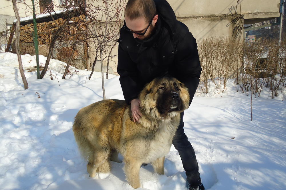 NEMA DANA DA NEKO NE  ZASTANE DA JE POZDRAVI: Buba mami osmehe Vranjanaca, komšije je obožavaju, a tek deca... (FOTO)