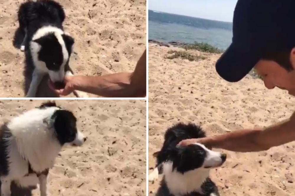 NOLE NAHRANIO RAZDRAGANOG DRUGARA: Đoković na plaži u Melburnu naišao na psa, a onda je nastala scena koja će vam rastopiti srca! (VIDEO)