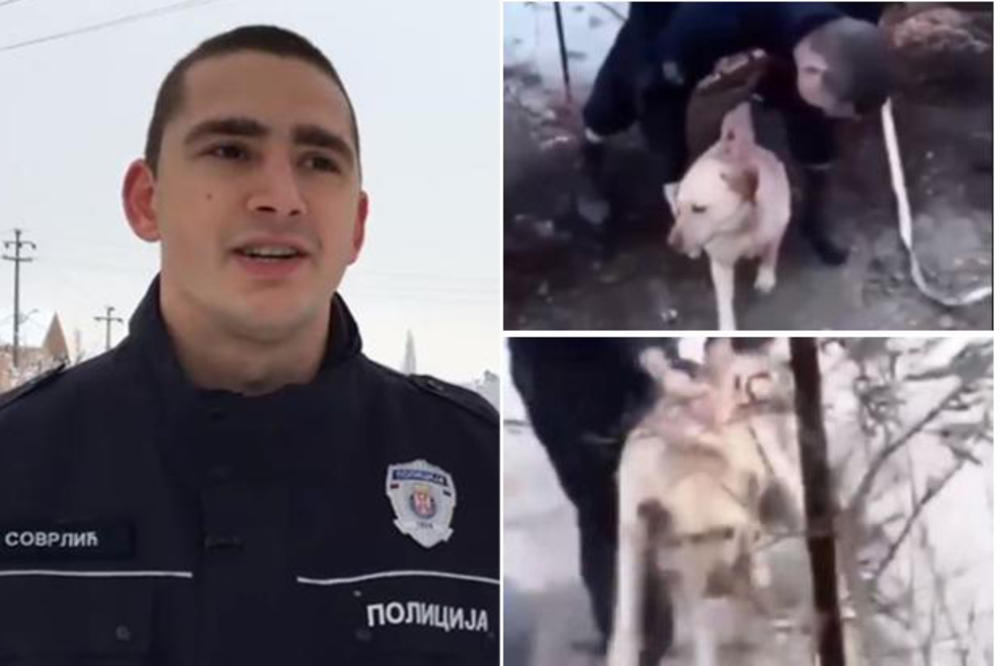 POLICAJAC O KOM PRIČA SRBIJA: Ovo je hrabri Mladen Sovrlić koji je spasao psa iz ledene vode u Borči! (VIDEO)
