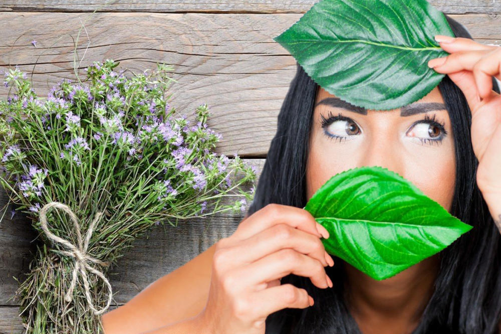NAUČNICI SU OTKRILI: Ova biljka pomaže da AKNE nestanu sa lica! Idealan recept za osetljivu kožu!