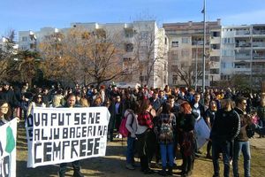NE PRAŠTAJU SEČU ČEMPRESA: Demonstracije u Baru zbog uništavanja 80 stabala u školskom dvorištu! Pridružili se i Kotorani! (FOTO)