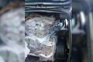 MUNJEVITA AKCIJA POLICIJE U SARAJEVU: Zaplenjeno više od 100 kg droge, uhapšene 3 osobe