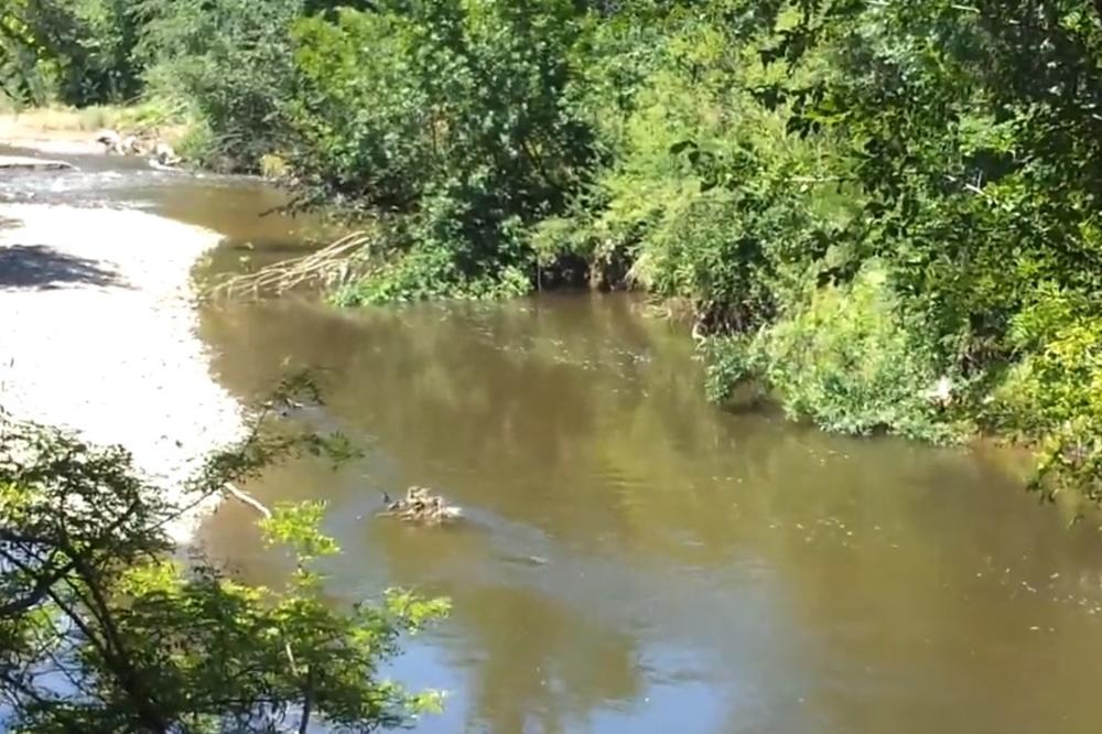 SNEG JOŠ NIJE POČEO DA SE TOPI: Nivo reke Toplice rekordno nizak za ovo doba godine