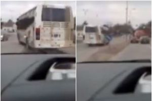 POMAHNITALI VOZAČ AUTOBUSA U PANČEVU! Ovako nešto dosad niste videli! ŠOK SNIMAK! (VIDEO)