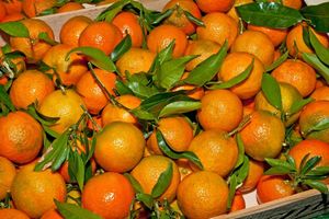 POKUŠALI DA UVEZU HILJADE KILOGRAMA OTROVNIH MANDARINA U REPUBLIKU SRPSKU: Zabranjen uvoz voća iz Turske zbog pesticida
