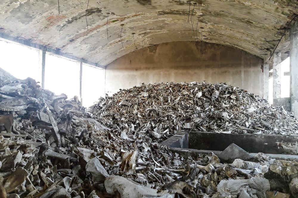 ČIŠĆENJE UŽASA U PADINSKOJ SKELI: Iduće nedelje počinje uklanjanje životinjskih ostataka iz dvorišta bivše fabrike Glutin