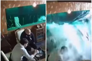 KAFA SA KUPANJEM: Nikšićani nisu obraćali pažnju na akvarijum u lokalu, sve dok... (VIDEO)