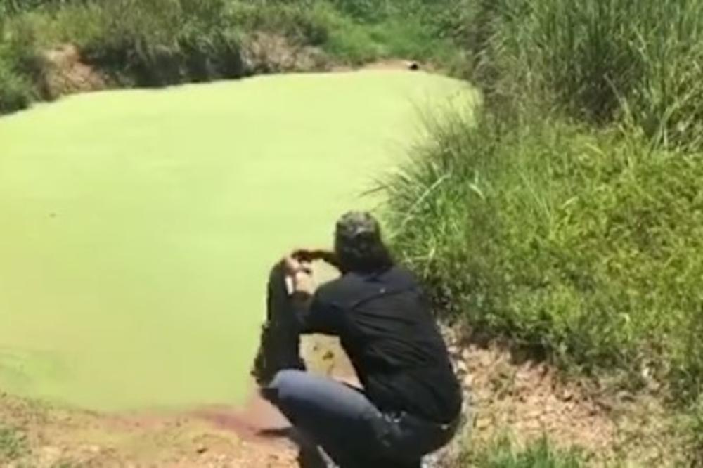 OD OVOG SNIMKA VAM NEĆE BITI DOBRO: Pogledajte kako izgleda kad vam je posao da hranite krokodile! (VIDEO)