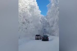PRAVO LEDENO KRALJEVSTVO! Vožnja ovakvim planinskim predelima po snegu je neviđena uživancija! (VIDEO)