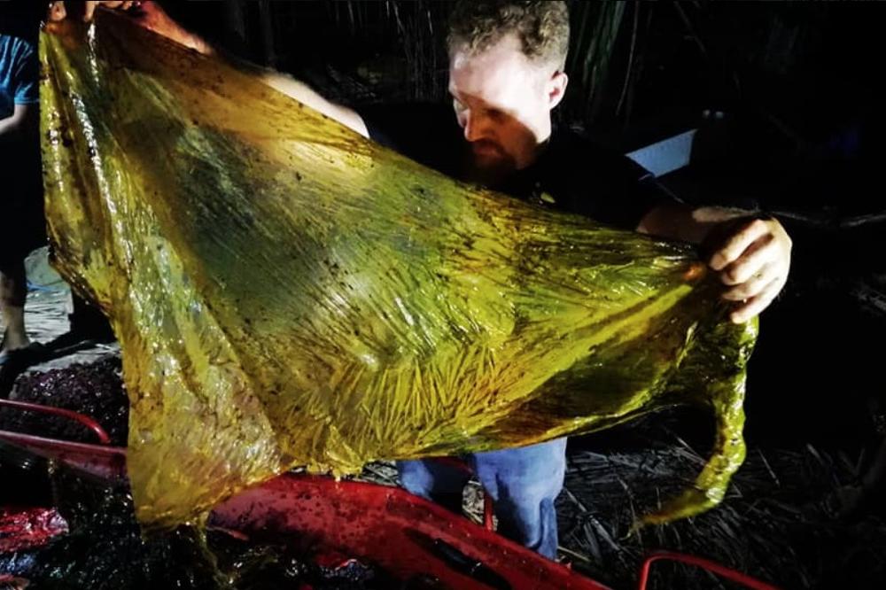 NAUČNICI ŠOKIRANI: U telu kita pronašli 40 kilograma plastičnih kesa! (FOTO)