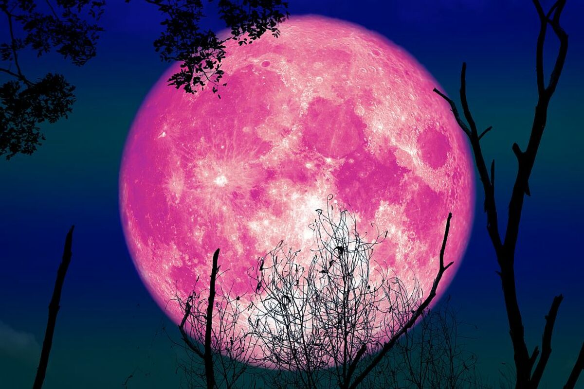 Одинокая луна розовая. Розовая Луна. Яркая Луна. Розовое полнолуние. Розовое суперлуние.